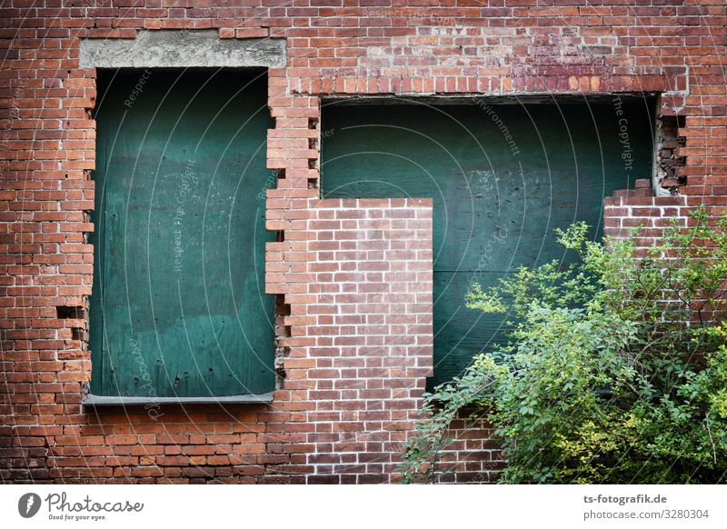 Analoges IT-Fachgeschäft Arbeit & Erwerbstätigkeit Beruf Arbeitsplatz Baustelle Telekommunikation Informationstechnologie Subkultur Pflanze Sträucher Stadt