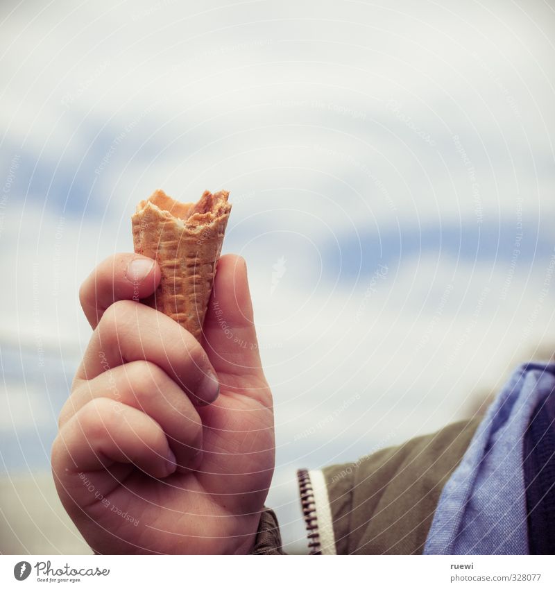 Ende der Eiszeit Lebensmittel Speiseeis Süßwaren Waffel Ernährung Essen Picknick Diät Fingerfood Gesunde Ernährung Übergewicht Sommer Kindererziehung Mensch