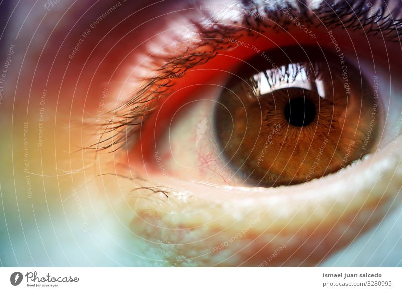 Regenbogen auf dem Auge, schöne Farben Wimpern mehrfarbig Körperteil Blick Pupille Regenbogenhaut Mensch Haut Vielfalt Stolz Toleranz Beautyfotografie