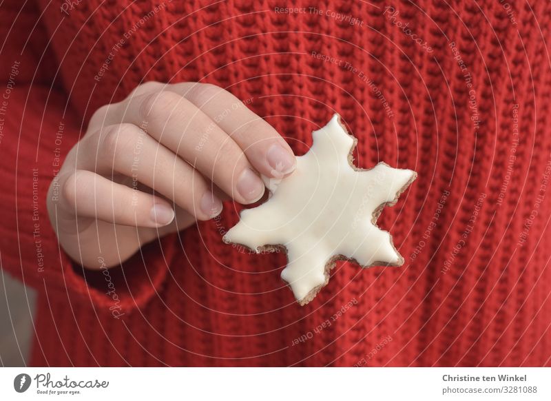 weibliche Hand hält ein weißes Weihnachtsplätzchen in Schneeflockenform; roter Strickpullover als Hintergrund Lebensmittel Teigwaren Backwaren Süßwaren