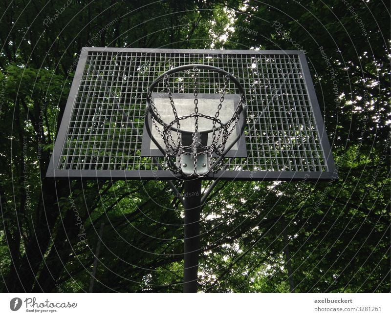 Streetball oder Street Basketball Korb Lifestyle Freizeit & Hobby Spielen Sport Ballsport Sportstätten Baum Park Basketballkorb streetball Basketballplatz