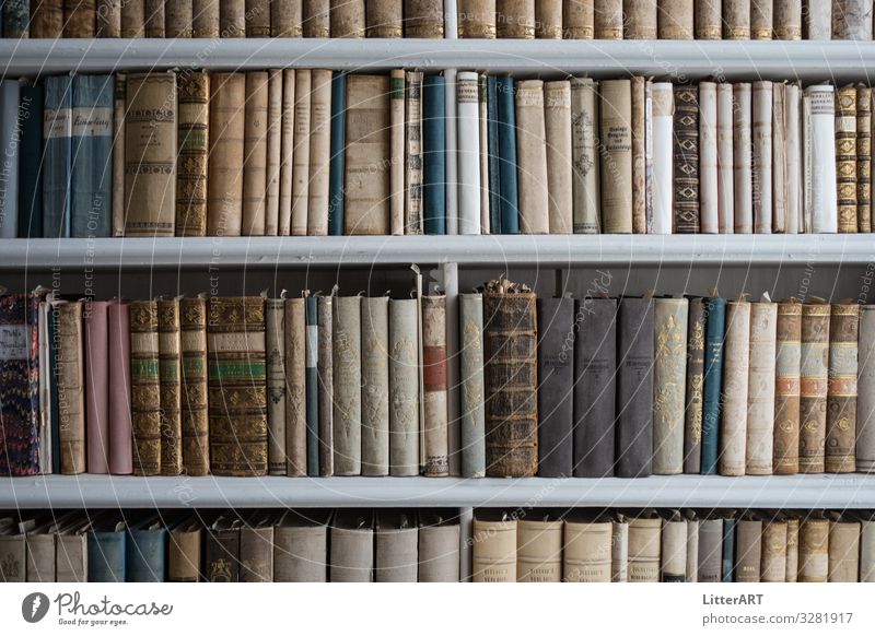 BÜCHERREGAL . NATURWISSENSCHAFT : BOOKSHELF . NATURAL HISTORY Printmedien Buch Bibliothek Leder Bildung hintergrund bücherregal bücherwand wissen mineralogie