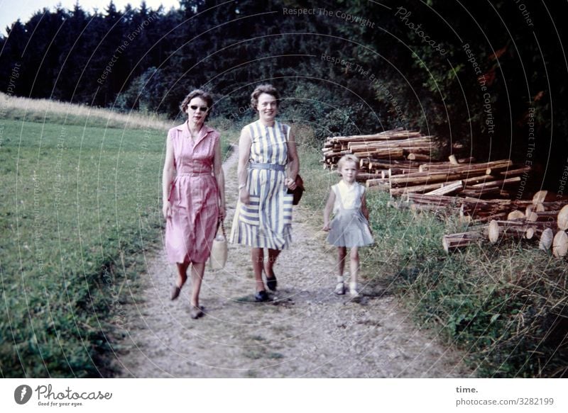 Heimatkunde (2) feminin Mädchen Frau Erwachsene 3 Mensch Umwelt Natur Landschaft Schönes Wetter Holzstapel Spaziergang Wiese Wald Kleid brünett blond kurzhaarig