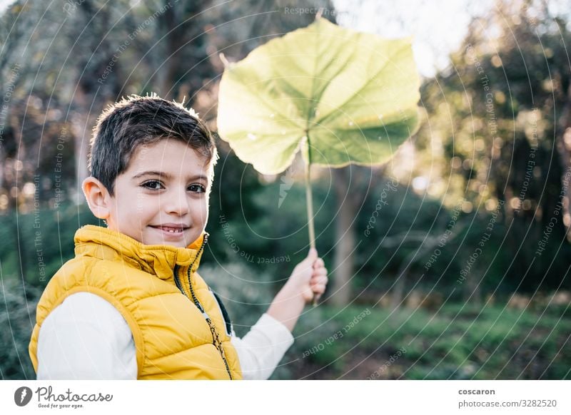 Süßes Kind mit gelber Weste, das ein großes Blatt hält Lifestyle Freude Glück schön Leben Freizeit & Hobby Ausflug Garten Mensch maskulin Kleinkind Junge