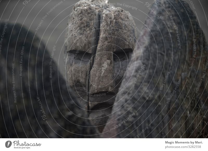 Die schönen Wikingerfiguren Holz Kunst Dänisch Kultur Zahlen bork Dänemark Nizza Farbfoto