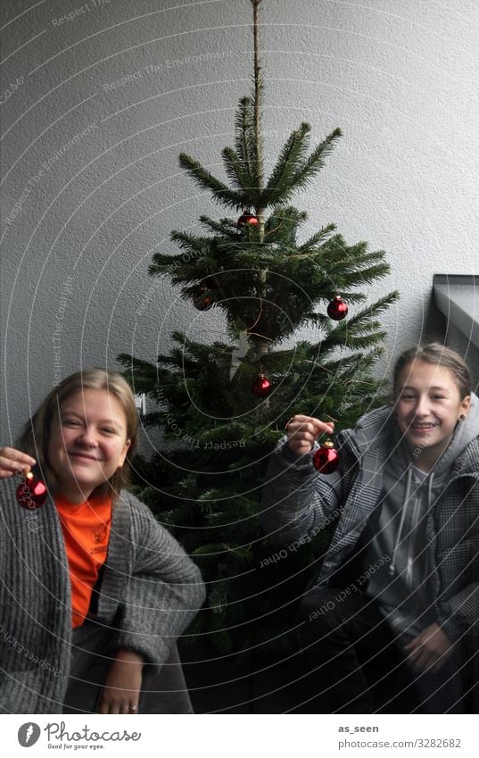 Weihnachtsbaum schmücken Häusliches Leben Dekoration & Verzierung Weihnachten & Advent Silvester u. Neujahr Mädchen Junge Frau Jugendliche Geschwister Schwester