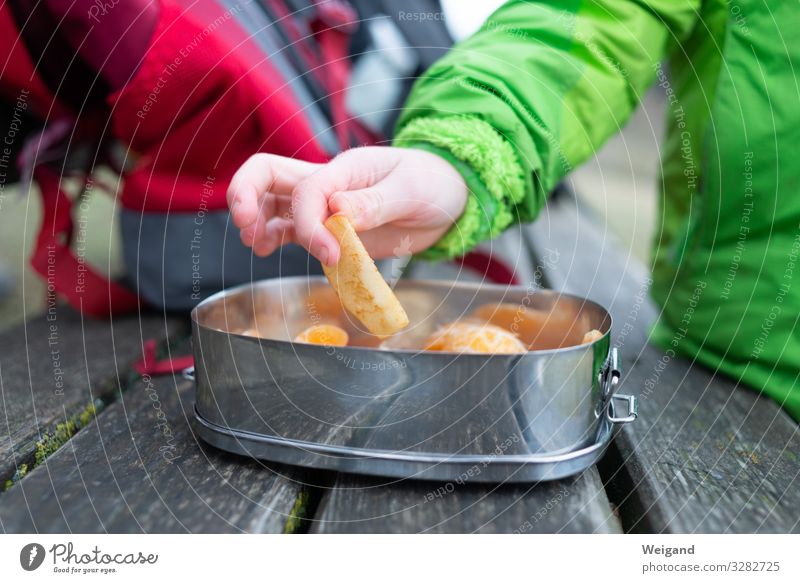 Picknick Lebensmittel Frucht Apfel Bioprodukte Vegetarische Ernährung Slowfood Geschirr Schalen & Schüsseln Essen lecker Appetit & Hunger Dose Gesunde Ernährung