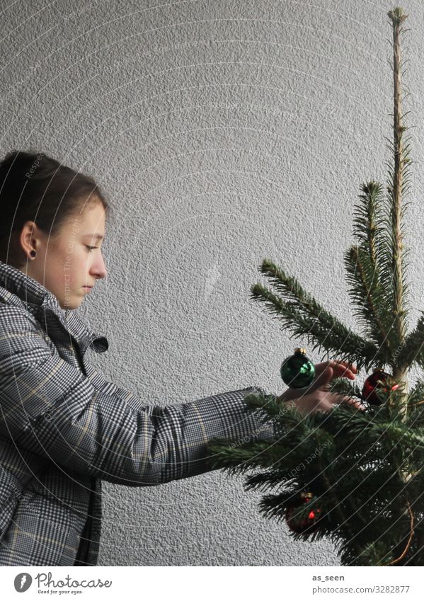 Christbaum schmücken Mädchen Weihnachtsbaum Fichte Tanne Christbaumkugel grün rot grau konzentriert Weihnachten & Advent Farbfoto Dekoration & Verzierung