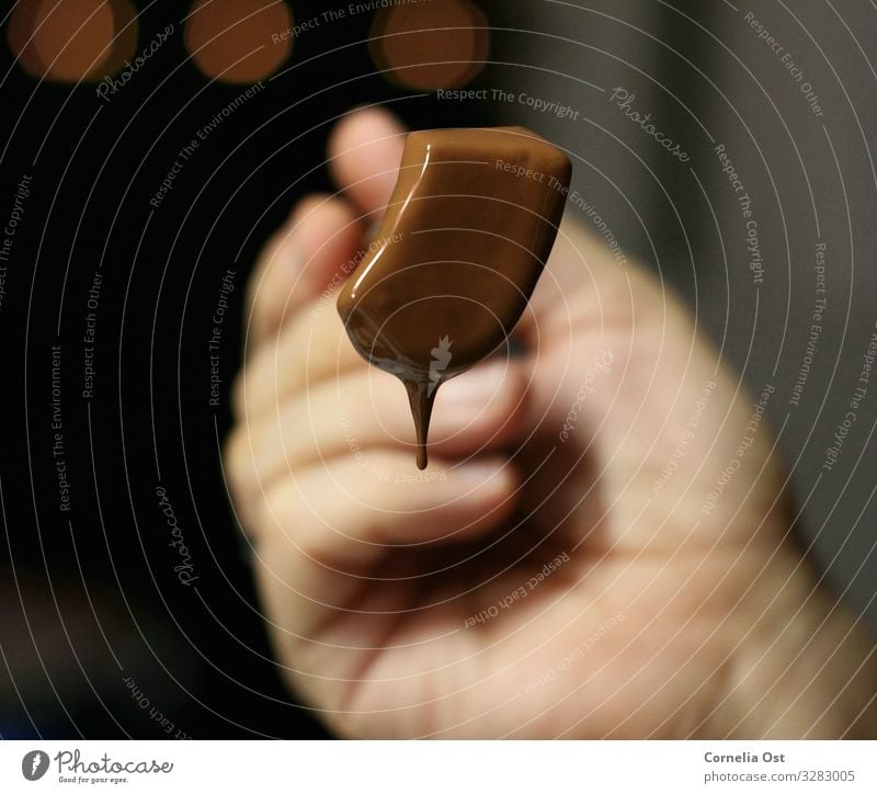 Schokolade ist die Lösung Lebensmittel Frucht Süßwaren Essen Kaffeetrinken Gabel Gesunde Ernährung Hand genießen lecker braun Farbfoto Innenaufnahme Nahaufnahme