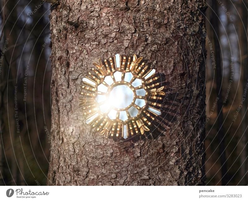 märchenspiegel elegant Design Glück Spiegel Kultur Natur Urelemente Sonnenlicht Winter Baum Wald Energie entdecken geheimnisvoll Kitsch Kunst Reichtum Macht