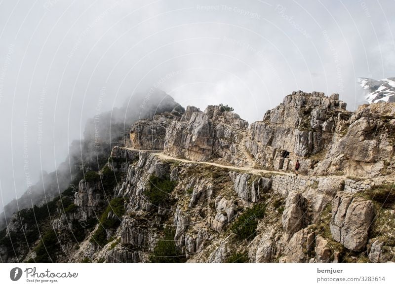 Pasubio schön Erholung Ferien & Urlaub & Reisen Tourismus Berge u. Gebirge wandern Klettern Bergsteigen Umwelt Natur Landschaft Sträucher Wald Felsen Alpen