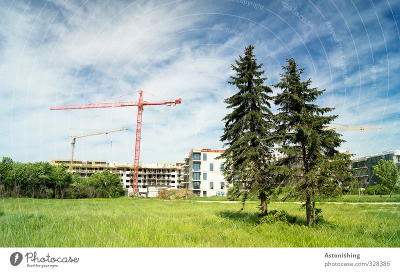 2 Beobachter Umwelt Natur Landschaft Pflanze Himmel Wolken Sommer Wetter Schönes Wetter Baum Gras Sträucher Wiese Wien Stadt Haus Mauer Wand bauen beobachten