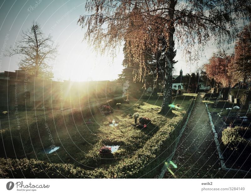 Kreuzweg Umwelt Natur Wolkenloser Himmel Sonne Herbst Schönes Wetter Baum Gras Hecke Friedhof Grab Wege & Pfade leuchten hell trösten ruhig Hoffnung Glaube