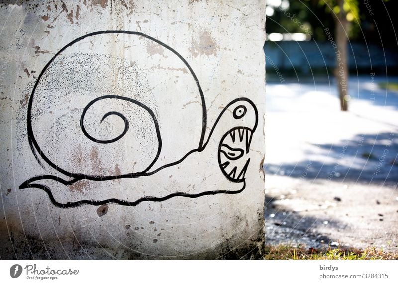 Schneckschreck Mauer Wand Schnecke 1 Tier Graffiti authentisch bedrohlich groß lustig verrückt Wut grau schwarz weiß selbstbewußt Überraschung gefährlich