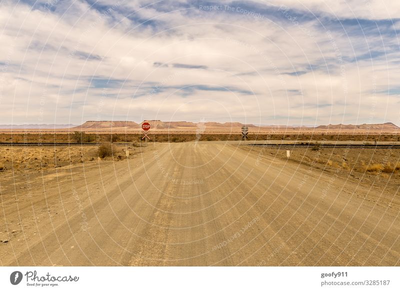 Bahnübergang im Niemandsland Ausflug Abenteuer Ferne Freiheit Safari Expedition Umwelt Natur Landschaft Erde Sand Himmel Wolken Horizont Sonnenlicht Wärme Dürre