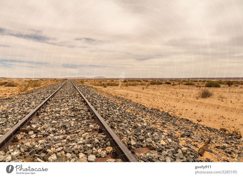 Immer weiter Ausflug Abenteuer Ferne Freiheit Expedition Umwelt Natur Landschaft Erde Sand Himmel Wolken Horizont Dürre Namibia Verkehrswege Schienenverkehr