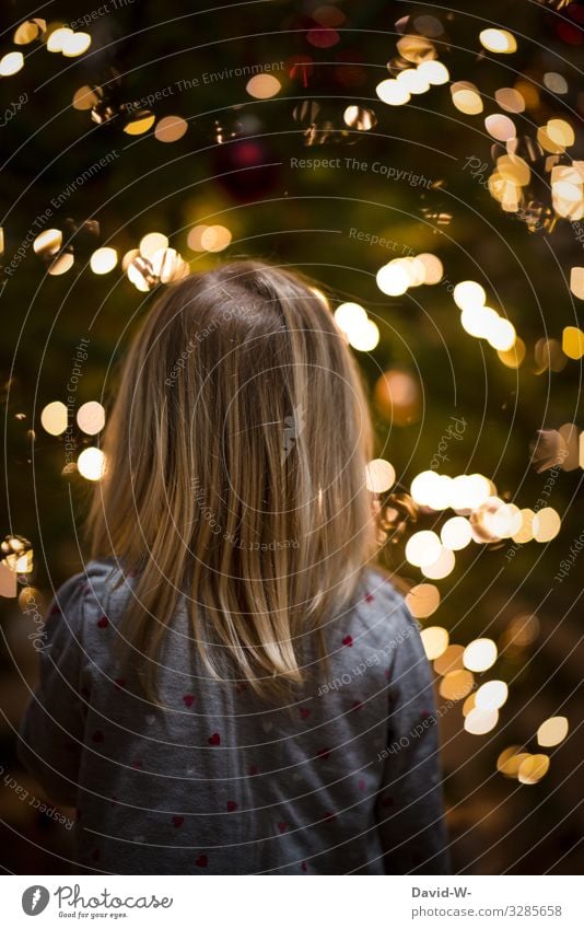 Kind freut sich auf Weihnachten Weihnachtsbaum vorfreude Bescherung Weihnachten & Advent besinnlich leuchten Weihnachtsstimmung niedlich ehrfürchtig