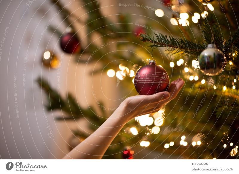 Hand hält zur Weihnachtszeit eine Christbaumkugel vom Tannenbaum Weihnachten schmücken Weihnachtsbaum dekoration Weihnachtsbeleuchtung Lichterkette besinnlich