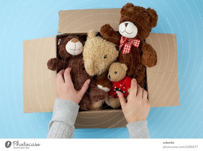 Karton mit verschiedenen Teddybären Kind Baby Frau Erwachsene Kindheit Hand Menschengruppe Tier Container Spielzeug Puppe Sammlung klein niedlich retro weich