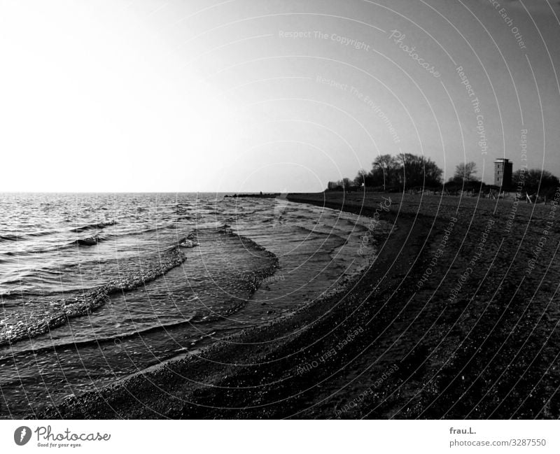 Büsum Ausflug Winter Landschaft Wolkenloser Himmel Küste Meer Hochhaus dunkel Baum Wellen Strand Badeort Nordsee Schwarzweißfoto Außenaufnahme Textfreiraum oben