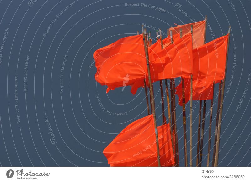 Netzfahnen im Wind Ferien & Urlaub & Reisen Sommerurlaub Meer Arbeit & Erwerbstätigkeit Beruf Fischereiwirtschaft Fischereihafen Umwelt Schönes Wetter Sturm