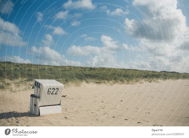 Strandkorb Umwelt Natur Landschaft Pflanze Tier Sand Sommer Küste Nordsee Meer Insel Hoffnung Horizont Klima Kraft nackt ruhig Unendlichkeit