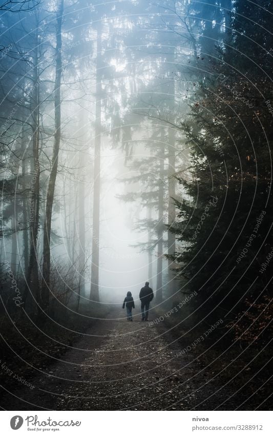 Spaziergang im nebligen Wald Erholung ruhig wandern Mensch maskulin Kind Junge Mann Erwachsene Vater Familie & Verwandtschaft Leben 2 Umwelt Natur Landschaft