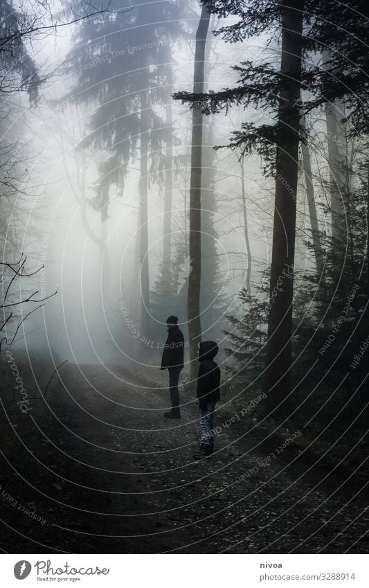 Vater und Sohn im Nebel Wald Ausflug Abenteuer Winter Mensch maskulin Kind Junge Erwachsene Kindheit Leben 2 Umwelt Natur Wetter Baum Wege & Pfade Jacke