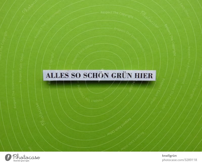 ALLES SO SCHÖN GRÜN HIER Schriftzeichen Schilder & Markierungen Kommunizieren natürlich grün schwarz weiß Gefühle Stimmung Erholung Farbe Freizeit & Hobby Natur