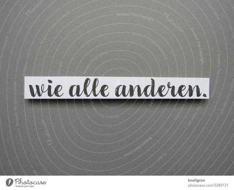 Wie alle anderen. gleich Gesellschaft (Soziologie) Mensch Mehrheit Masse identisch Identität konform Herdentrieb Erwartung Politik & Staat Bevölkerung