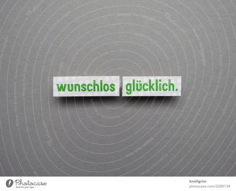 Wunschlos glücklich Glück Zufriedenheit Gefühle Stimmung Lebensfreude Buchstaben Wort Satz Schriftzeichen Text Sprache Lateinisches Alphabet Typographie Letter