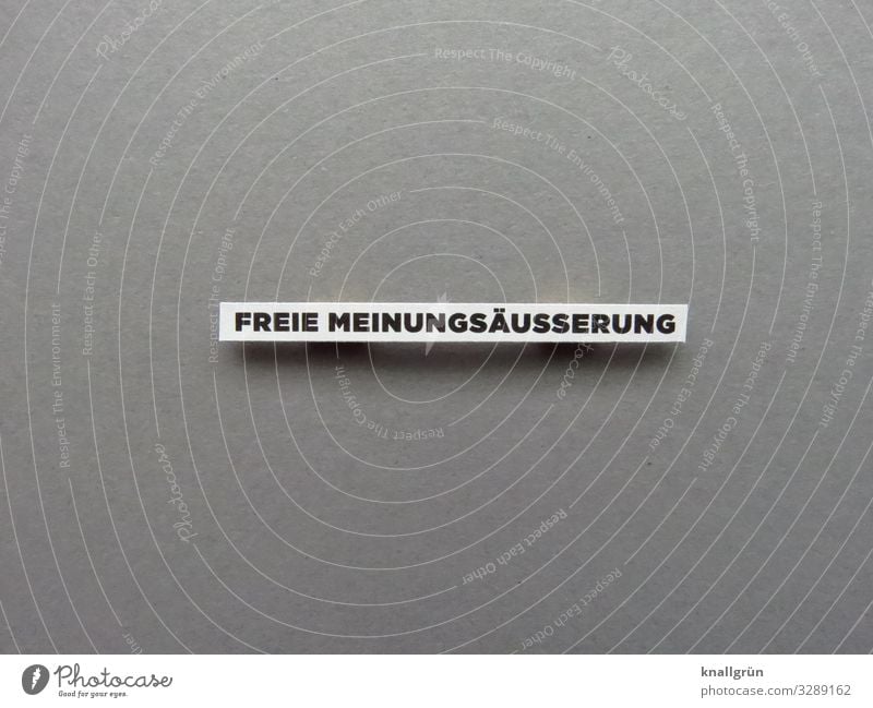 Freie Meinungsäusserung Meinungsfreiheit Mensch Demokratie Recht Grundgesetz Freiheit Politik & Staat Buchstaben Wort Satz Schriftzeichen Text Typographie