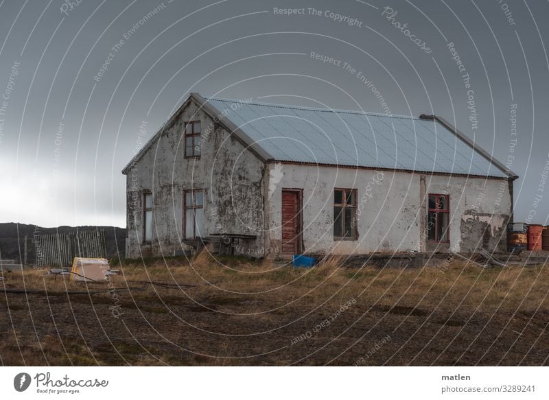 Haus am Fjord Natur schlechtes Wetter Gras Wiese Mauer Wand Fenster Tür Armut dunkel blau braun grau grün rot Wellblech Fass Island Farbfoto Gedeckte Farben