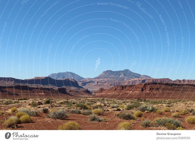 Landscape in Utah USA near Monument Valley Ferien & Urlaub & Reisen Sommer Umwelt Natur Landschaft Sand Sonne Klima Klimawandel Wetter Schönes Wetter Park