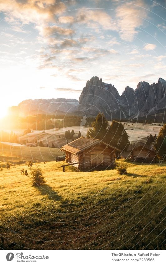 Alpe di Suisi - Seiser-Alm Umwelt Natur Landschaft gelb gold grün Seiser Alm alpe di suisi Hütte Sonnenaufgang Berge u. Gebirge Wolken Gegenlicht Schatten Licht