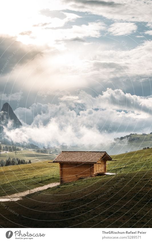 Alpe di Suisi - Seiser-Alm Umwelt Natur Landschaft gelb grün Seiser Alm Sonnenuntergang Wolken Stimmung Hütte Aussicht Berge u. Gebirge Himmel Wiese