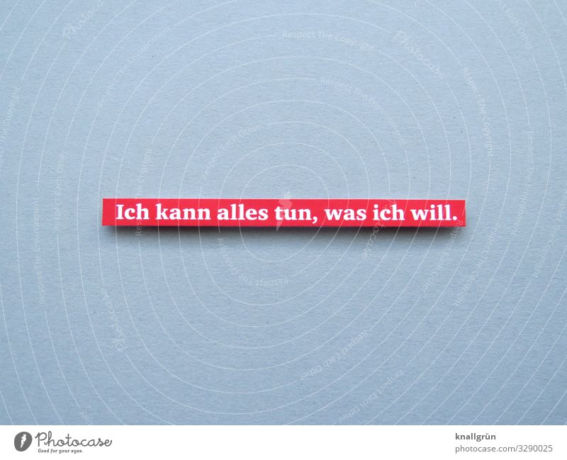 Ich kann alles tun, was ich will Freiheit freier Wille selbstbestimmt Tun Handlung können machen Eigenverantwortung Buchstaben Wort Satz Typographie