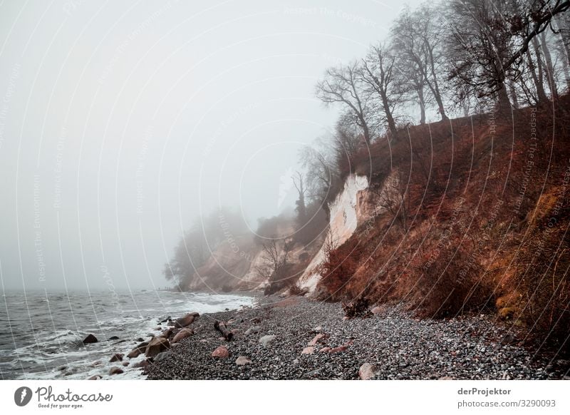 Kreidefelsen im Winter auf Rügen Panorama (Aussicht) Zentralperspektive Schwache Tiefenschärfe Kontrast Textfreiraum Mitte Tag Licht Schatten Textfreiraum unten