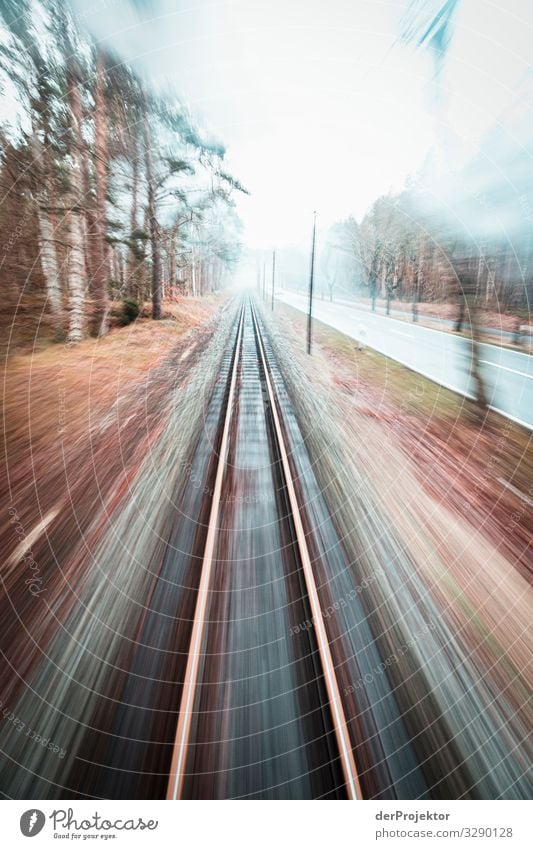 Mit dem rasenden Roland auf Rügen unterwegs Ferien & Urlaub & Reisen Tourismus Ausflug Abenteuer Ferne Freiheit Verkehr Verkehrsmittel Verkehrswege