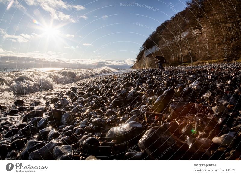 Steinstrand bei Sassnitz auf Rügen Ferien & Urlaub & Reisen Tourismus Ausflug Abenteuer Ferne Freiheit wandern Umwelt Natur Landschaft Pflanze Tier Winter