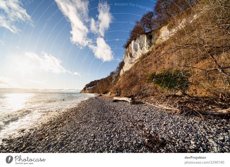 Kreidefelsen im Winter bei Sonnenschein auf Rügen IV Panorama (Aussicht) Zentralperspektive Schwache Tiefenschärfe Kontrast Textfreiraum Mitte Tag Licht