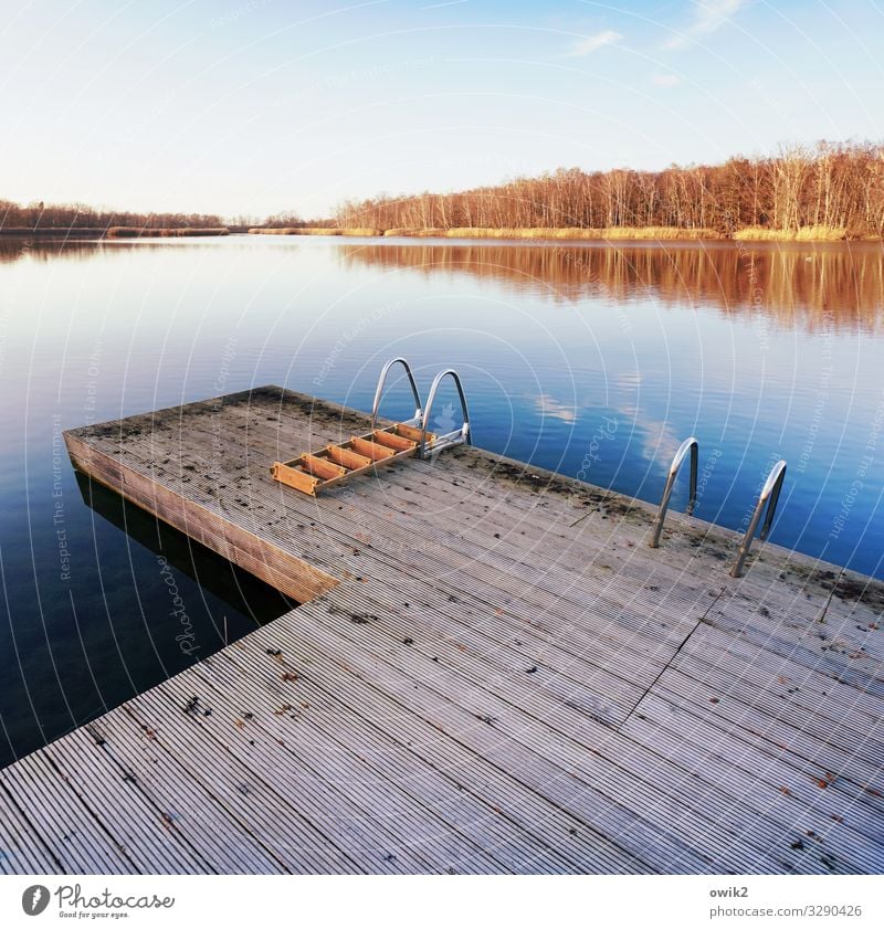 Winterbad Freizeit & Hobby Umwelt Natur Landschaft Pflanze Wasser Himmel Horizont Schönes Wetter Wald Seeufer Insel Wolken Steg Einstieg (Leiter ins Wasser)