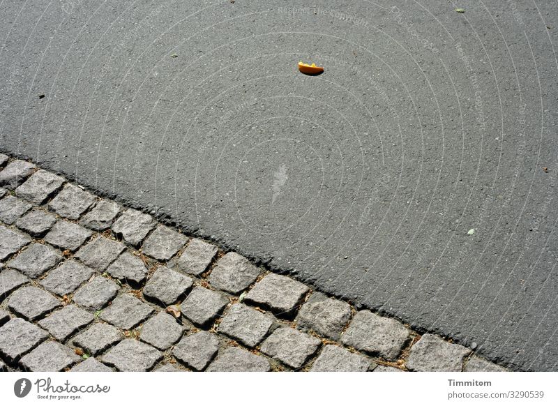 Sauber machen! Blatt Stadt Straße dreckig Pflastersteine Stein Linie Blick braun grau Gefühle Asphalt Ordnungsliebe Putzwahn Orange Farbfoto Außenaufnahme