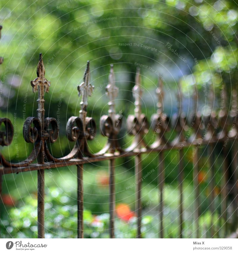 Zacken in der Krone Wohnung Garten alt Spitze Zaun Schmiedeeisen Metallzaun Dekoration & Verzierung Farbfoto mehrfarbig Außenaufnahme Nahaufnahme Detailaufnahme