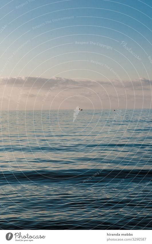 Meerblick Umwelt Natur Landschaft Wasser Himmel Wolken Horizont Sommer Schönes Wetter Menschenleer Schifffahrt Bootsfahrt Fischerboot Segel Zufriedenheit ruhig