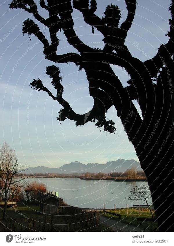 black tree Baum See Silhouette Herbst Meer Wasser Berge u. Gebirge