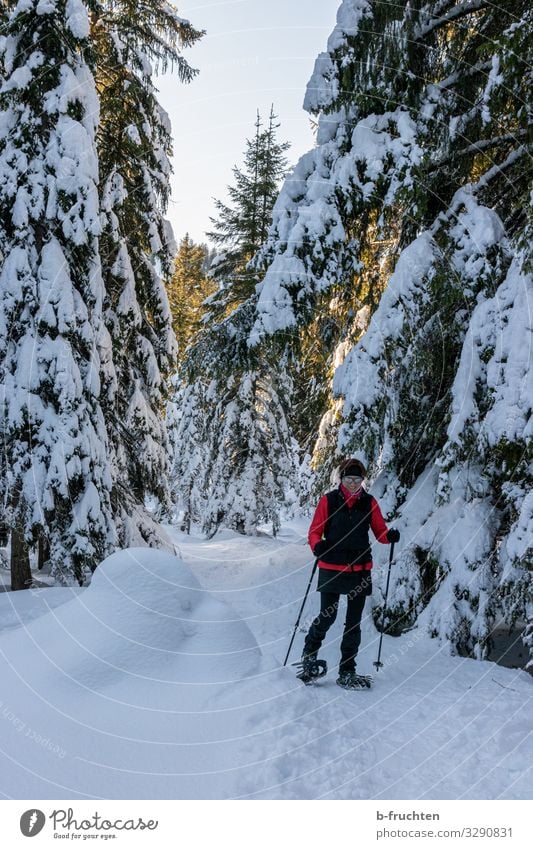 Schneeschuhwanderung Freude sportlich Fitness Leben Freizeit & Hobby Abenteuer Freiheit Sport Wintersport wandern Frau Erwachsene 1 Mensch 30-45 Jahre Umwelt