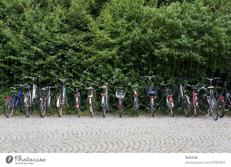 abgasfrei Gesundheit Fitness Fahrradfahren Umwelt Natur Park Verkehr Personenverkehr Straßenverkehr grau grün rot schwarz silber Umweltschutz Fahrräder viele