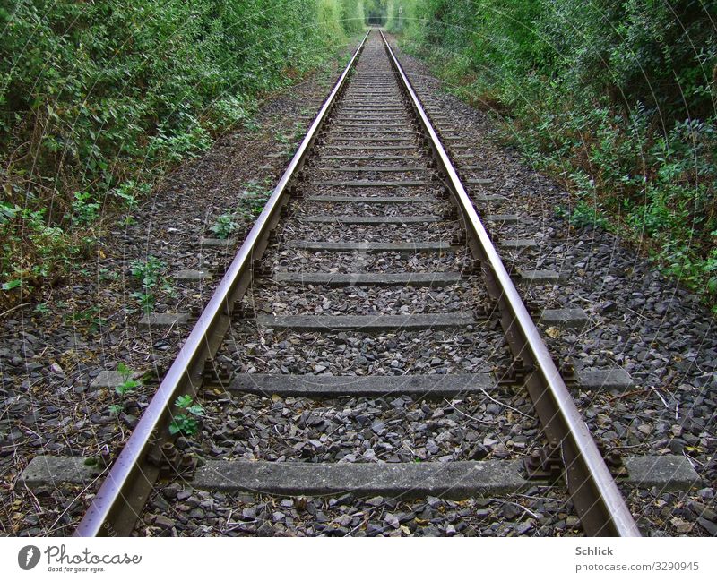 Fernweh Verkehr Verkehrswege Bahnfahren Schienenverkehr Eisenbahn Gleise Metall Ferne Unendlichkeit braun grau grün silber Ferien & Urlaub & Reisen Vegetation