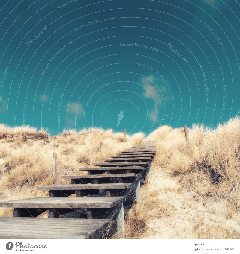 Westen Landschaft Himmel Wolken Horizont Sommer Schönes Wetter Sträucher Hügel Treppe Wege & Pfade Holz alt blau braun ruhig Hoffnung Glaube Fernweh Idylle